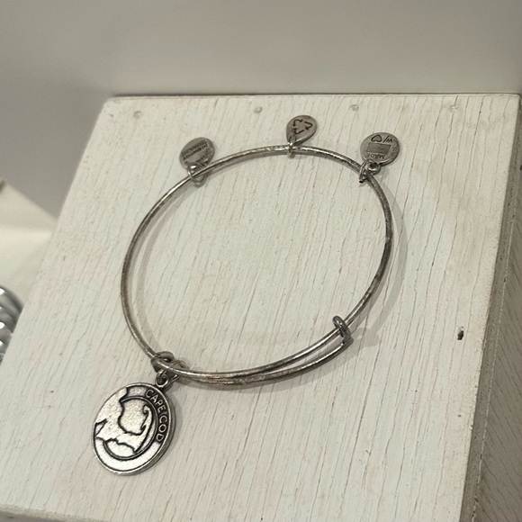 Cape Cod Alex & Ani Bangle Bracelet SIlver - Picture 3 of 7